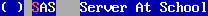 [ sas server type ]