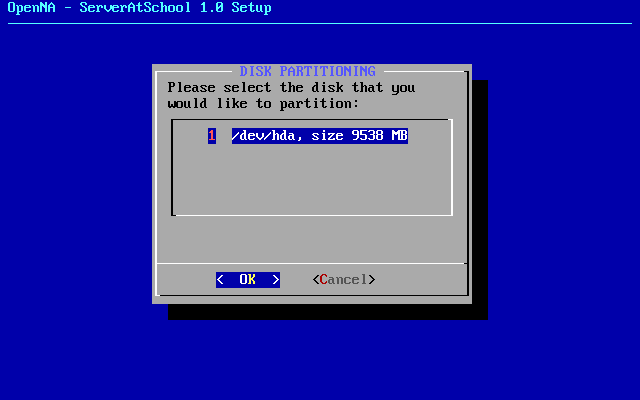 [ selecting the disk for partitioning ]