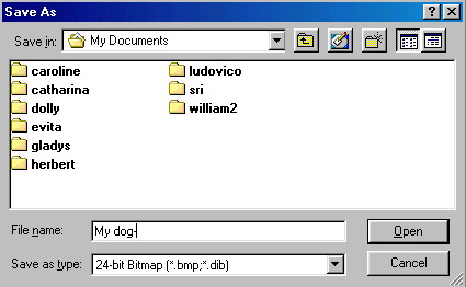 [ list of pupil directories in a Save As dialogue ]
