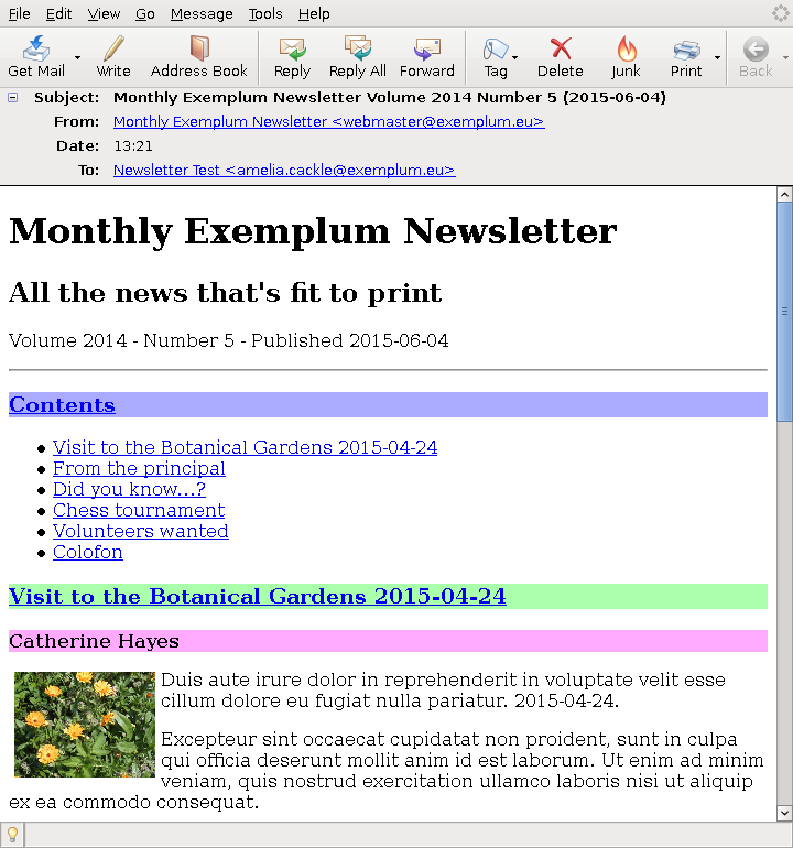 [ newsletter publish testmail final version]